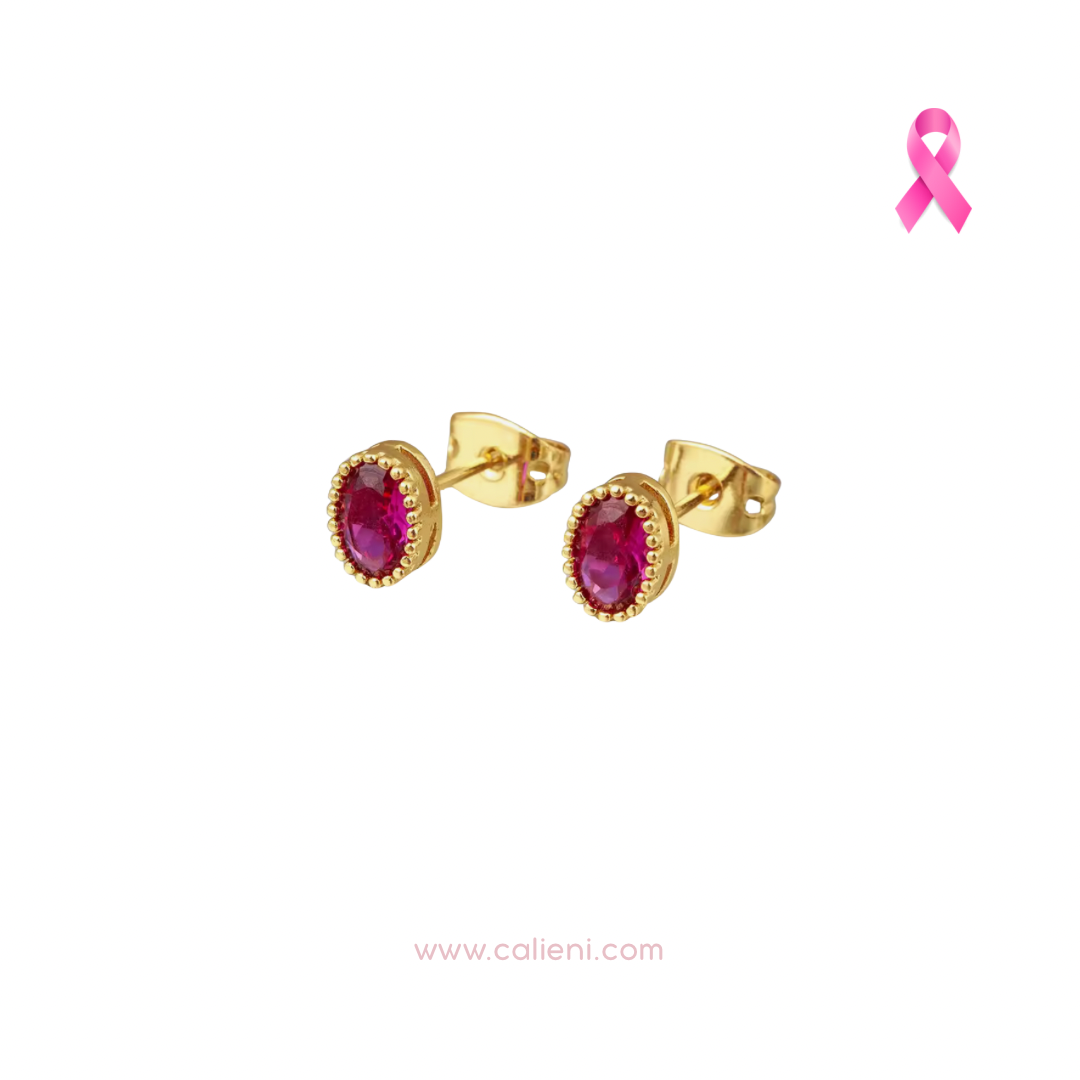 Pinktober💗 Donación