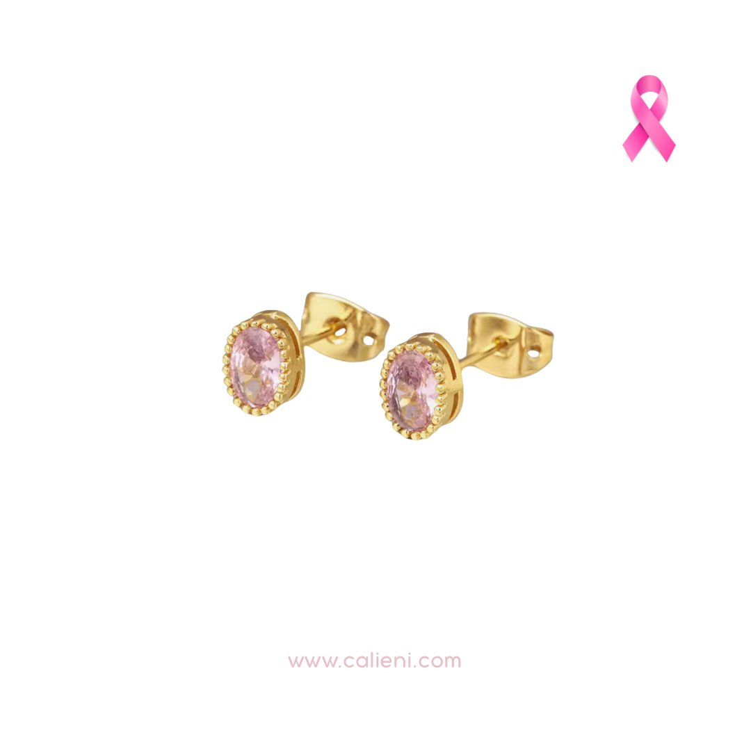 Pinktober💗 Donación