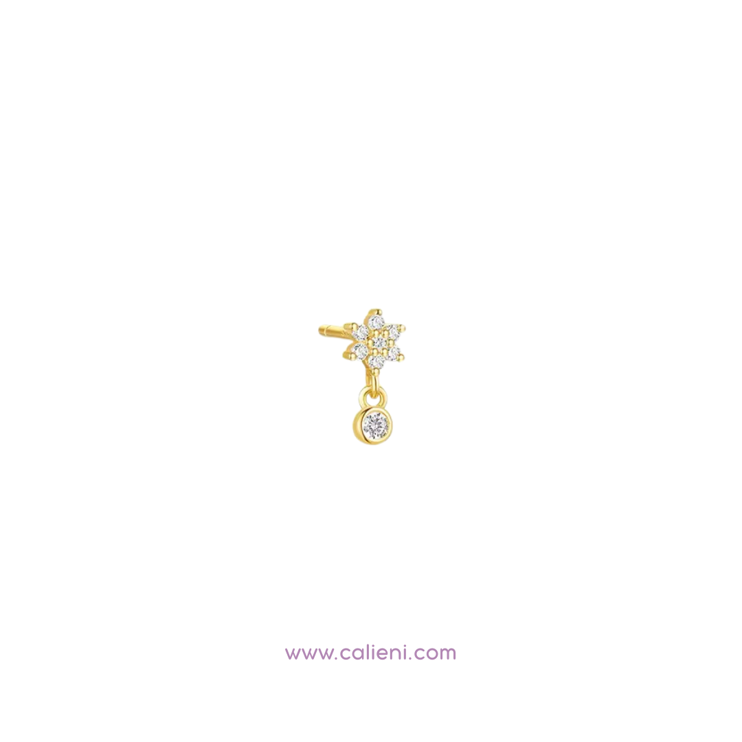 Piercings individuales - Variados