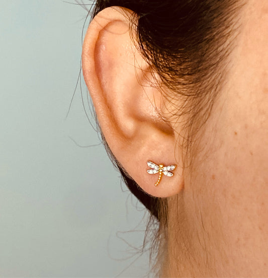 Dragonfly studs